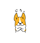 コーギー たろう（個別スタンプ：16）