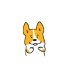 コーギー たろう（個別スタンプ：22）