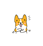 コーギー たろう（個別スタンプ：24）