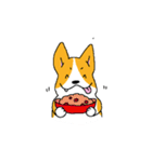 コーギー たろう（個別スタンプ：28）