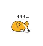 コーギー たろう（個別スタンプ：30）