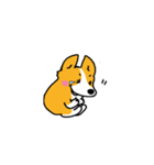 コーギー たろう（個別スタンプ：31）
