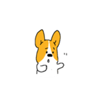 コーギー たろう（個別スタンプ：34）
