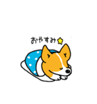 コーギー たろう（個別スタンプ：37）