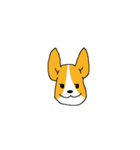 コーギー たろう（個別スタンプ：40）