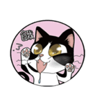 Mi ball with mo ball daily life articles（個別スタンプ：3）