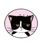 Mi ball with mo ball daily life articles（個別スタンプ：13）