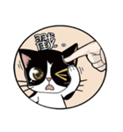 Mi ball with mo ball daily life articles（個別スタンプ：25）