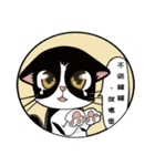Mi ball with mo ball daily life articles（個別スタンプ：40）