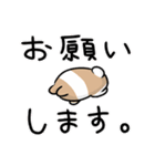 ライブ兎（個別スタンプ：20）