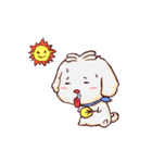"water water" the white dog life（個別スタンプ：32）