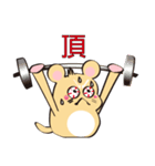 golden Roborovski hamster（個別スタンプ：14）