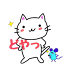 白猫のハク 3（個別スタンプ：2）