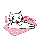 白猫のハク 3（個別スタンプ：5）