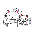 白猫のハク 3（個別スタンプ：11）
