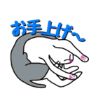 白猫のハク 3（個別スタンプ：36）