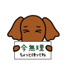 嫌な感じの犬 3（個別スタンプ：40）