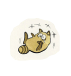 アライグマの日常（個別スタンプ：34）