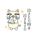 女優ぶた「初級」（個別スタンプ：20）