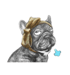 Bonjour！ Bonjour！ Black French Bulldog（個別スタンプ：2）