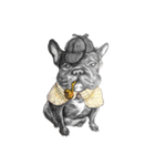 Bonjour！ Bonjour！ Black French Bulldog（個別スタンプ：3）