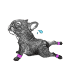 Bonjour！ Bonjour！ Black French Bulldog（個別スタンプ：8）