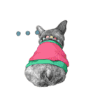 Bonjour！ Bonjour！ Black French Bulldog（個別スタンプ：21）