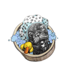 Bonjour！ Bonjour！ Black French Bulldog（個別スタンプ：22）