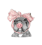Bonjour！ Bonjour！ Black French Bulldog（個別スタンプ：29）