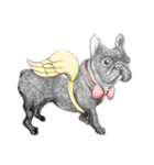 Bonjour！ Bonjour！ Black French Bulldog（個別スタンプ：30）