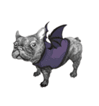 Bonjour！ Bonjour！ Black French Bulldog（個別スタンプ：31）