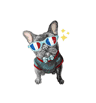 Bonjour！ Bonjour！ Black French Bulldog（個別スタンプ：37）