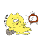 デベソねこたぬき（個別スタンプ：9）