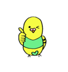インコのちゃこ。（個別スタンプ：1）