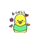 インコのちゃこ。（個別スタンプ：5）