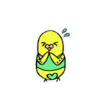 インコのちゃこ。（個別スタンプ：7）