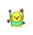 インコのちゃこ。（個別スタンプ：9）