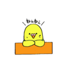 インコのちゃこ。（個別スタンプ：17）