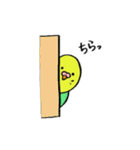 インコのちゃこ。（個別スタンプ：19）