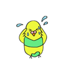 インコのちゃこ。（個別スタンプ：21）