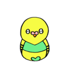 インコのちゃこ。（個別スタンプ：23）
