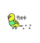 インコのちゃこ。（個別スタンプ：27）