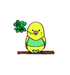 インコのちゃこ。（個別スタンプ：29）