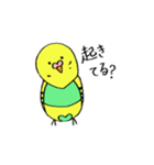 インコのちゃこ。（個別スタンプ：33）