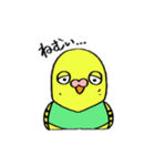 インコのちゃこ。（個別スタンプ：35）