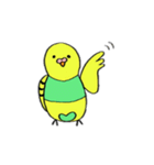インコのちゃこ。（個別スタンプ：39）