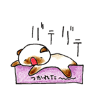 シャム猫のタマ 3（個別スタンプ：11）