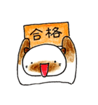 シャム猫のタマ 3（個別スタンプ：28）