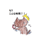 まめねこ～おしゃべり中に失礼します編（個別スタンプ：1）