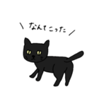 くろねこのきもち（個別スタンプ：13）